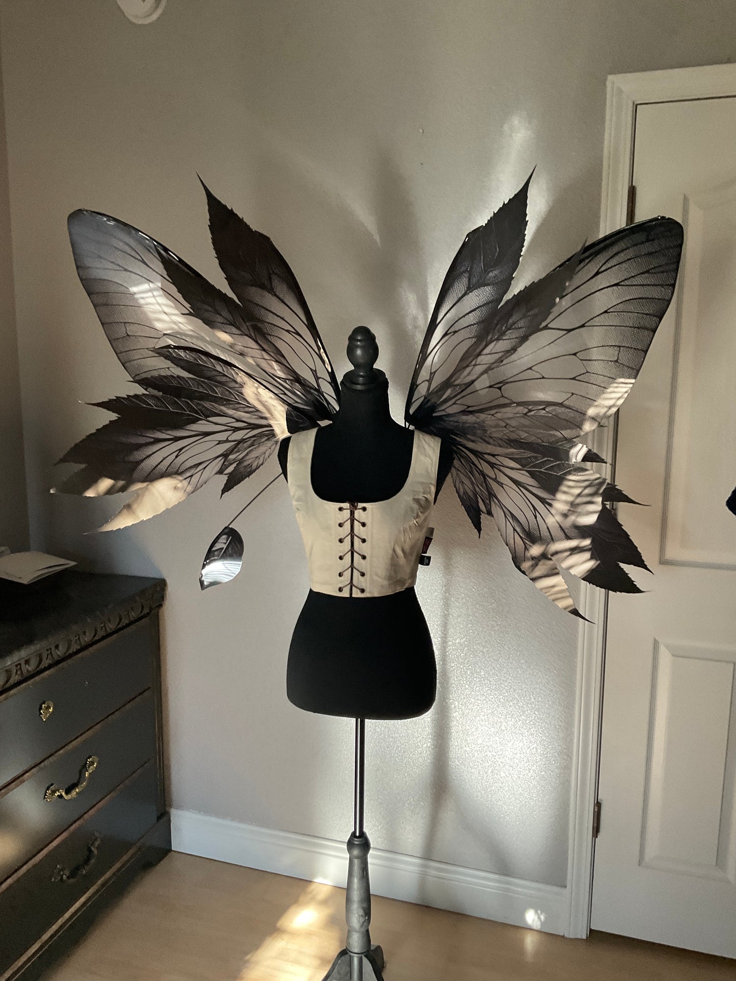 ThewingsUA Black & Clear Wings